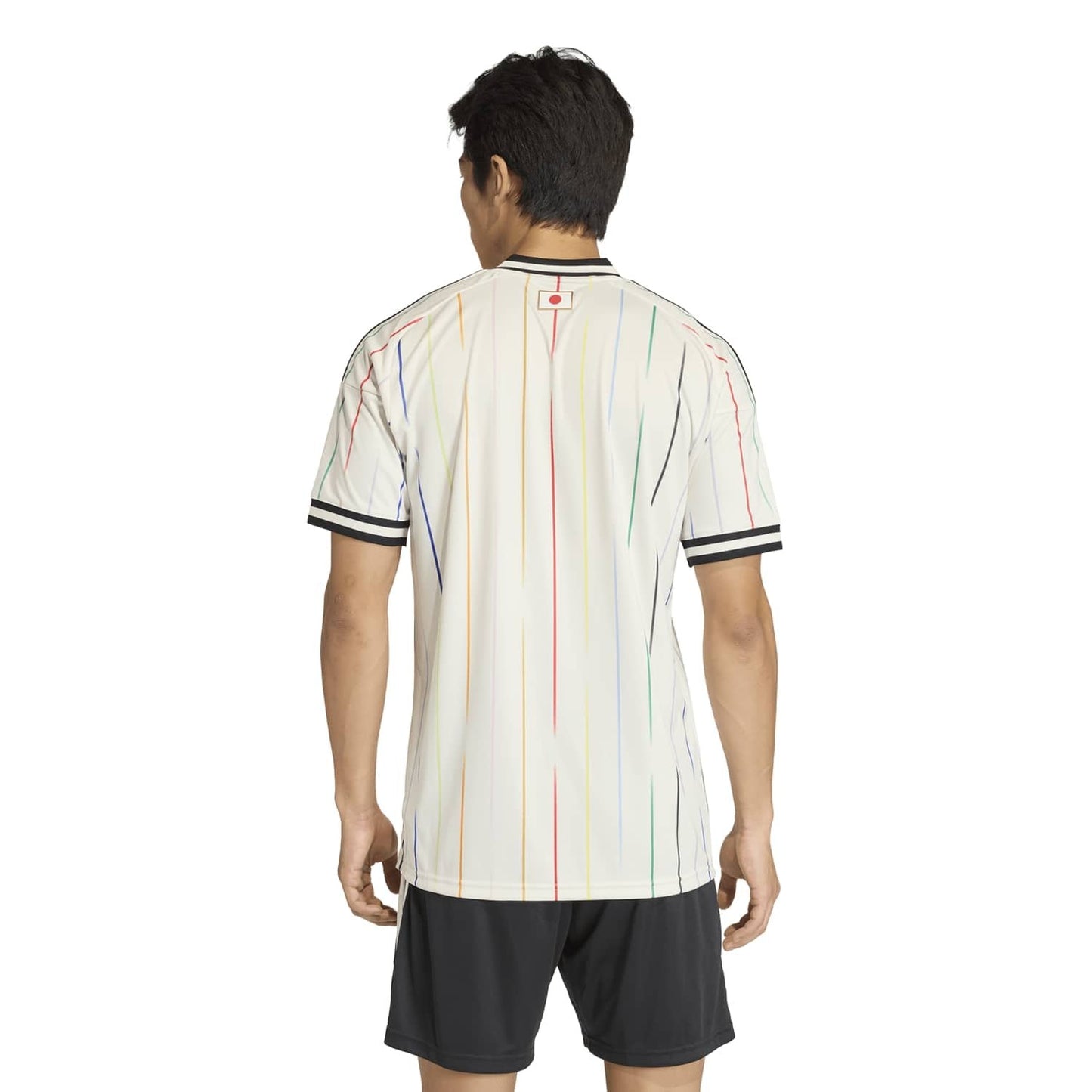 Japon 2026 Extérieur